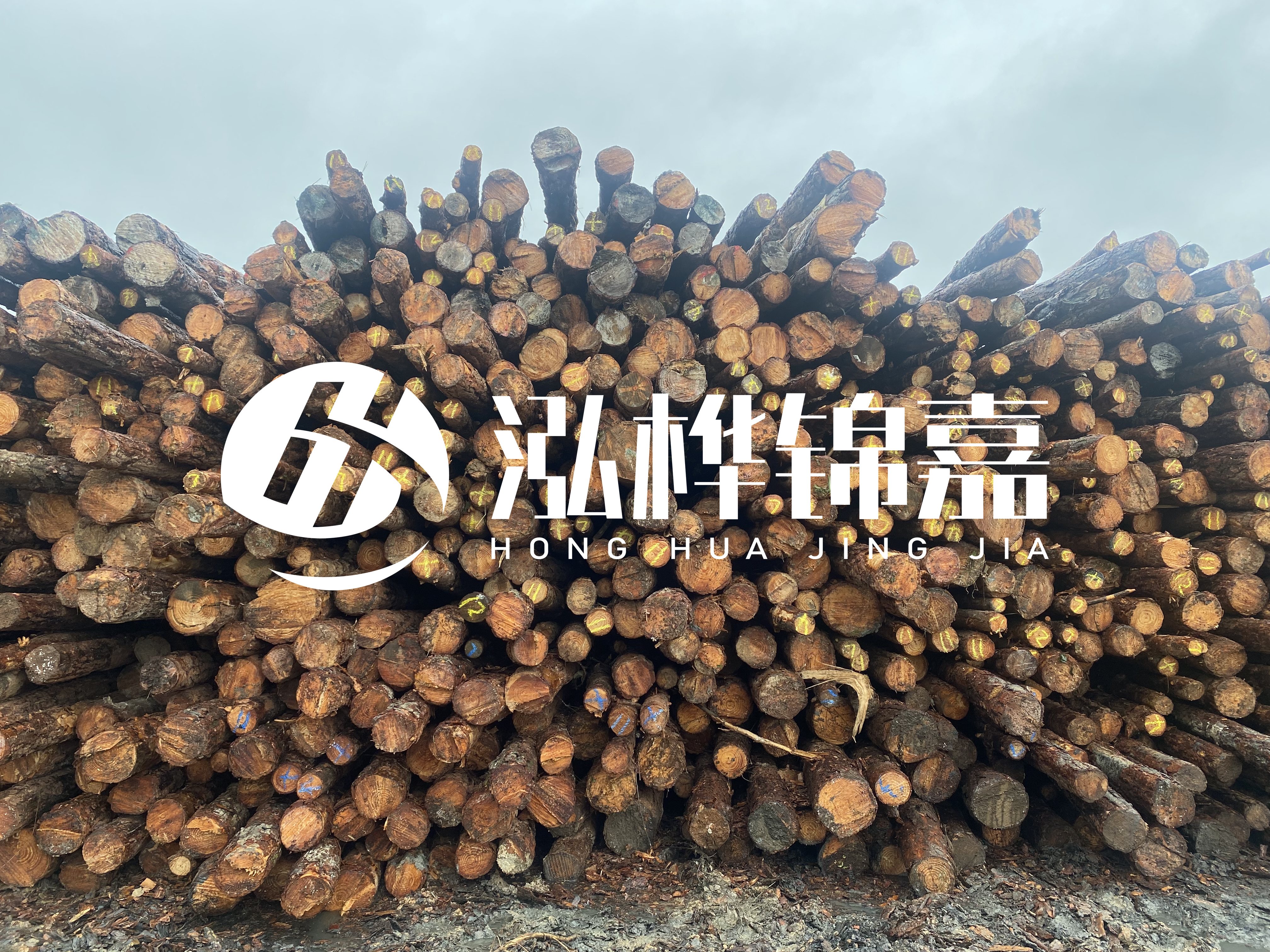 松木樁的直徑一般取多少？