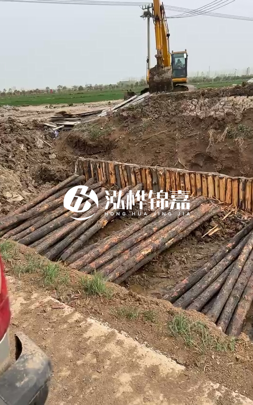 4米直徑12-13油松批發(fā)價最低多少？報價含稅含運嗎？