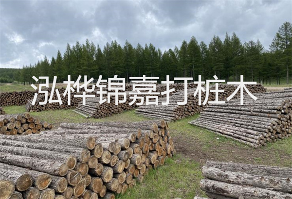 預(yù)制松木樁施工工藝：優(yōu)質(zhì)材料，高效快速，堅(jiān)固耐用