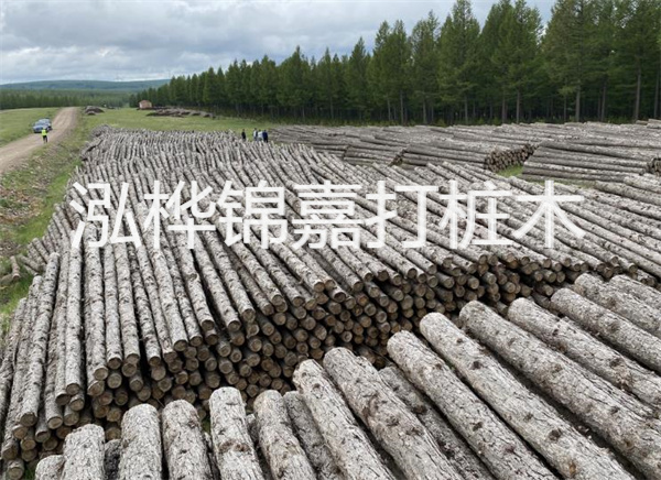 簡易松木樁施施工，為您打造安全穩(wěn)定的基礎(chǔ)