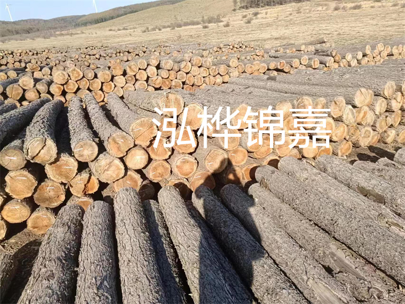 鹽城松木樁河道圍堰施工，保護(hù)生態(tài)環(huán)境，打造美麗城市